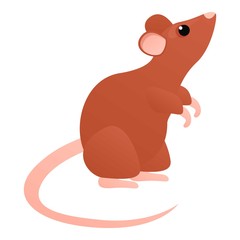 Cute rat icon. Cartoon of cute rat vector icon for web design isolated on white background