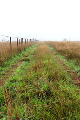 Obraz premium Dirt back road in the country beside a field