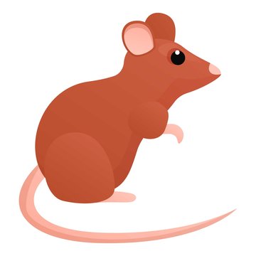 Animal rat icon. Cartoon of animal rat vector icon for web design isolated on white background