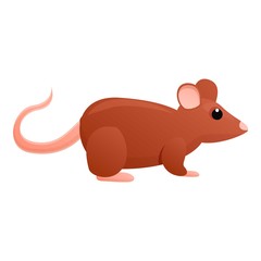 Wild rat icon. Cartoon of wild rat vector icon for web design isolated on white background