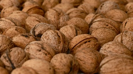 The background of the superficially removed layer of the tops of whole walnuts.