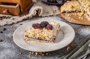 Rustic pie with forest fruit