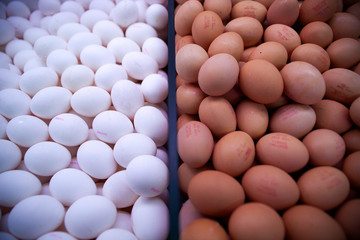 Eggs