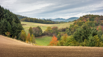 landscape in autumn