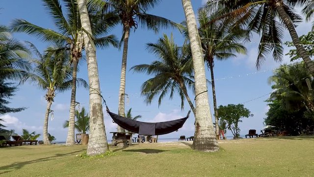 SLOW MOTION : Hammock and palm trees on the beach.