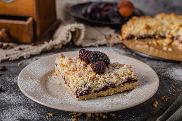Rustic pie with forest fruit