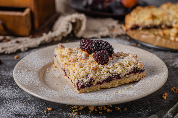 Rustic pie with forest fruit