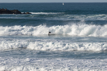 Sport surfing on the beach of zurriola located in san sebastian spain
