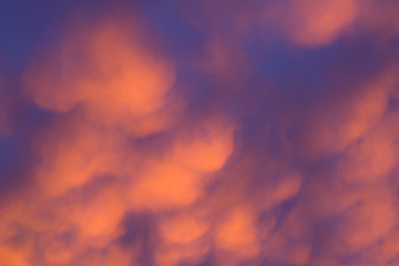 Abstract sunset cloud background.Red urban sunset with copy space.