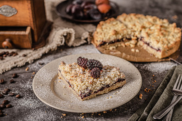 Rustic pie with forest fruit