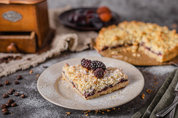 Rustic pie with forest fruit