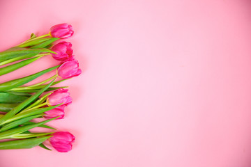 Fototapeta na wymiar bouquet of tulips on a pink background