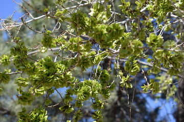A journey from Colorado to New Mexico