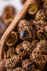 fragrant Sichuan pepper on white acrylic background