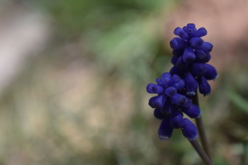 A journey from Colorado to New Mexico