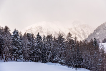 winter mountain landscape. Image from the swiss Alps