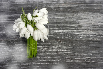 Bouquet of beautiful white snowdrops Galanthus nivalis on a wooden background with bokeh. Top view, flat lay, copy space