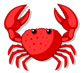Crab with large claws on a white background. The form of the top.