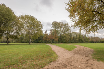 Fototapeta na wymiar Footpath in a Dutch public park, with grass and trees in Autumn