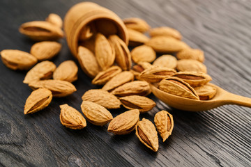 almond nut close-up