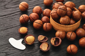 Macadam nut close-up