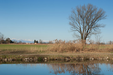 countryside landscape in winter