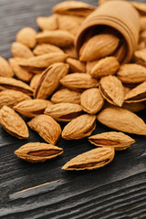 almond nut close-up
