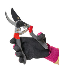 garden tool secateurs in hand