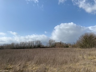 field and blue sky