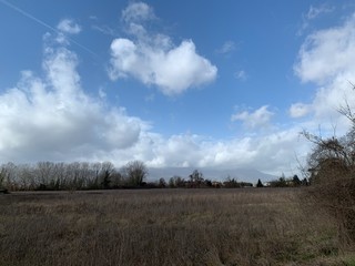 field and blue sky