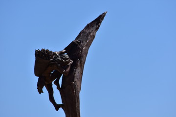 statue in Mesa Verda