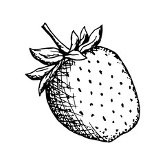 Freehand drawn black outline vector strawberry isolated on a white background. Seasonal summer berry, ingredient, element of nature, garden. For labels, stickers, coloring, market, product.