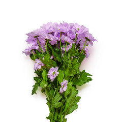 Lovely flower bouquet present isolated