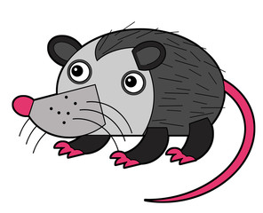 cartoon american scene with happy and funny opossum on white background - illustration