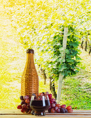 Brandy on the background of the vineyard