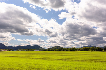 日本・北海道東部、弟子屈町の牧草地
