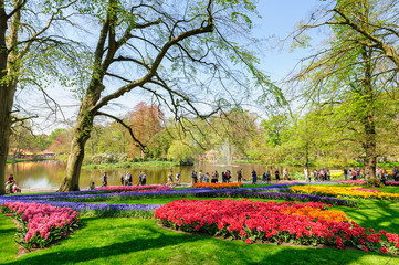 Plakat Flower beds of Keukenhof Gardens in Lisse, Netherlands