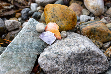 Arranged seashells on rocks, Lysefjord, Norway