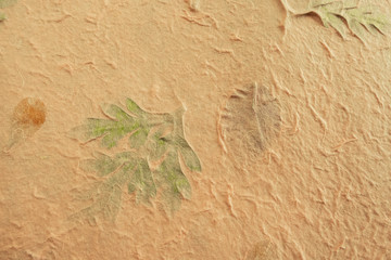 Mulberry paper with dry flower and leaf texture background.