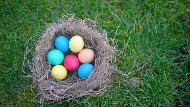 Children's hand takes a colorful Easter egg in a nest on the lawn. Easter egg hunt In garden easter concept background.