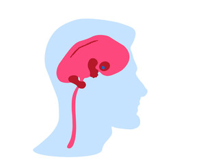 silhouette of human head