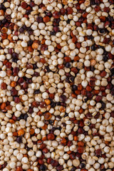 mix of quinoa grains on white acrylic background
