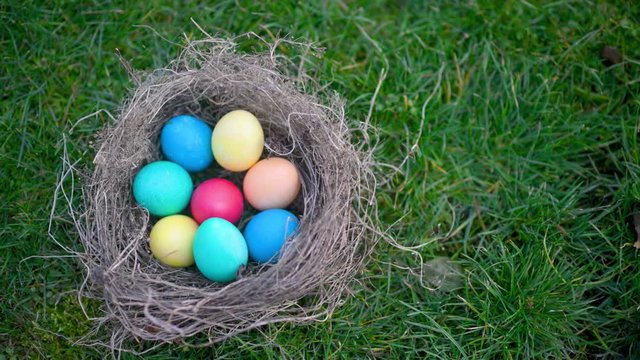 Colorful easter egg in a nest on the lawn. Easter egg hunt In garden easter concept background.