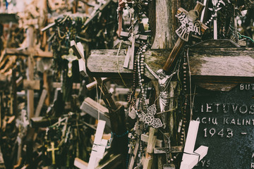 Fototapeta premium Numerous crucifixes on the hill of crosses in Lithuania