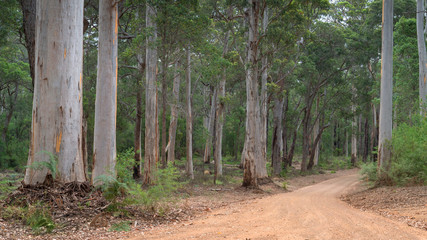 Mount Frankland National Park, Western Australia