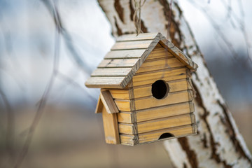 Small wooden bird house hanging on a tree branch outdoors.