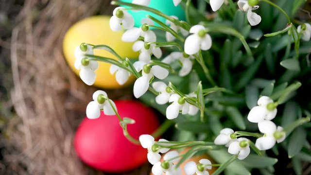 Colorful easter egg in a nest in the garden near beautiful blooming spring flowers. Easter Egg Hunt In Garden Easter concept background.