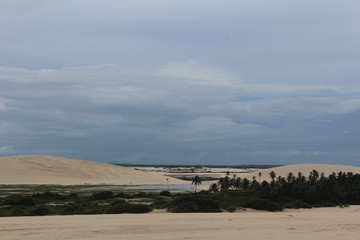 Fototapeta premium Jericoacoara (Brasil)