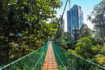 eco park in Kuala Lumpur with suspension bridges in the center of the metropolis