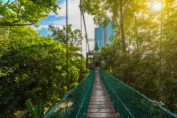 eco park in Kuala Lumpur with suspension bridges in the center of the metropolis